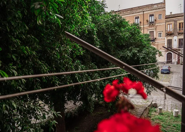 Bed And BooksBed and Breakfast